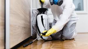 Trusted Ontario, CA Pest Control Experts